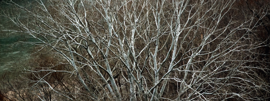 Χειμώνας – 2009 [10]
