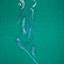 Female Nude, 2011