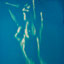 Female Nude, 2011