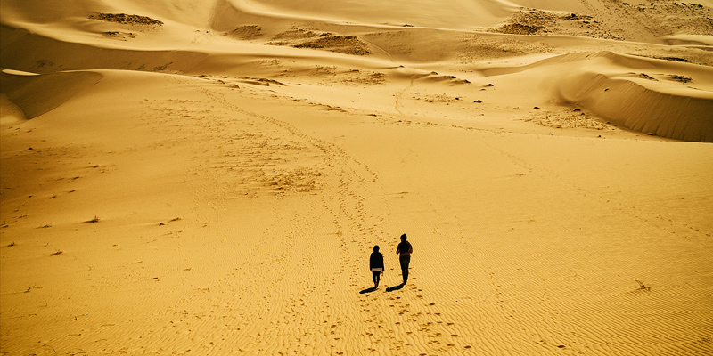 Achilleas Alexandrakis | Gobi the Desert